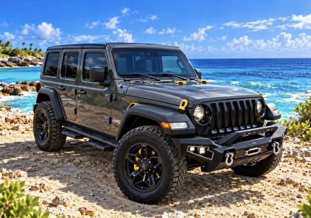 JEEP WRANGLERS :
