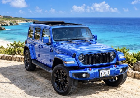 Jeep Wranglers Special edition Blue Unlimited